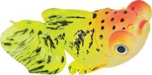 ZOLUX SweetyFish Phospho Rybka Butterfly - Dekoracja akwarystyczna