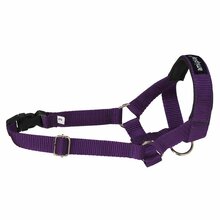 Amiplay - halter, uprząż treningowa, seria Basic, kolor fioletowy