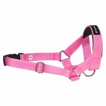 Amiplay - halter, uprząż treningowa, seria Basic, kolor różowy
