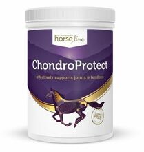 HORSELINE PRO ChondroProtect - preparat stworzony z myślą o zdrowych i mocnych stawach, 900 g