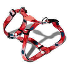 ZEE DOG H-Harness Same dla psa