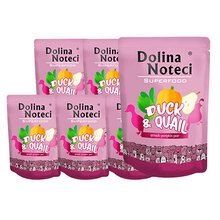 DOLINA NOTECI Superfood Kaczka i przepiórka 10x300g, pakiet saszetek dla psa