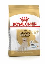 ROYAL CANIN Adult Labrador Retriever +5 - sucha karma dla seniorów Labrador Retriver