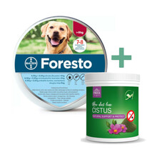 Foresto obroża przeciw pchłom i kleszczom dla psów powyżej 8kg wagi ciała + Pokusa Czystek 100g