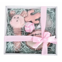 Barry King Puppy Shower Gift box - zestaw prezentowy dla psa 5w1, różowy
