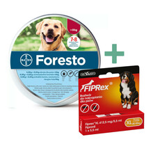 Foresto obroża przeciw pchłom i kleszczom dla psów powyżej 8kg wagi ciała + Fiprex krople przeciwko pchłom i kleszczom XL 40-55kg
