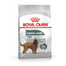 ROYAL CANIN Maxi Dental Care - Sucha karma dla psów podatnych na schorzenia przyzębia