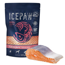 ICEPAW High Premium Lachs czysty łosoś dla psów, 400g