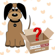 MYSTERY BOX - Paczka niespodzianka dla psów ras dużych