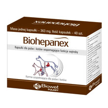 BIOWET BIOHEPANEX - Kapsułki dla psów i kotów wspomagające funkcję wątroby, 40szt