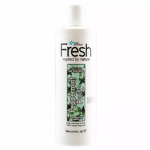 Groom Professional Fresh Peppermint Purify Shampoo - skoncentrowany (24:1) oczyszczający szampon o zapachu mięty pieprzowej