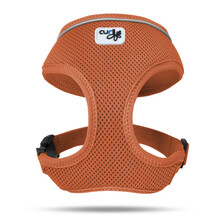 Curli Basic Air-Mesh - szelki dla psa, pomarańczowe