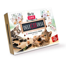 BRIT CARE CAT DELICATERIA INTERACTIVE BOX 2022 - Zestaw prezentowy dla kota