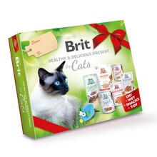 BRIT HEALTHY & DELICIOUS PRESENT FOR CATS BOX 2022 - Zestaw prezentowy dla kota