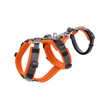 HUNTER Szelki Maldon Safety - dla psów rozpoczynających naukę chodzenia w szelkach, kolor pomarańczowy