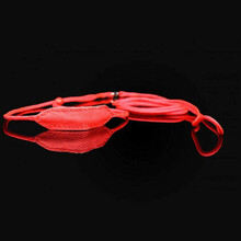 Zooleszcz - ringówka dla psa, sznurek z krętlikiem oraz skórzanym podgardlem, czerwona