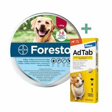 Foresto obroża przeciw pchłom i kleszczom dla psów powyżej 8kg wagi ciała + AdTab Tabletka dla psa (5,5 - 11kg)