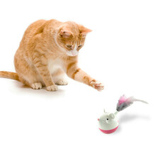 PETSTAGES Hunt 'N Swat Treat Tumbler - Zabawka dla kota z miejscem na smakołyki