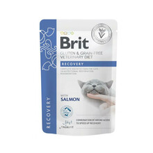 Brit Veterinary Diet Cat Pouches Fillets in Gravy Recovery - Dietetyczna karma dla kotów, powrót do normalnego żywienia, rekonwalescencja, saszetka 85g