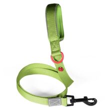 Zolux – Jasnozielona smycz nylonowa premium dla psa – 1,2 m