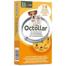 ELANCO Octollar - obroża przeciw kleszczom, pchłom i wszołom dla kotów i małych psów (do 8 kg) - rozmiar S (38 cm)