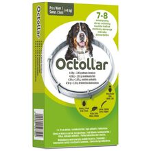 ELANCO Octollar - obroża przeciw kleszczom, pchłom i wszołom dla dużych psów (powyżej 8 kg) - rozmiar L (70 cm)