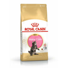 ROYAL CANIN Kitten Maine Coon - karma dla kotek w ciąży oraz kociąt rasy Maine Coon