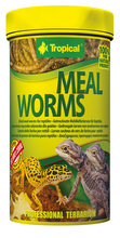 TROPICAL MEAL WORMS - suszone larwy mącznika młynarka dla gadów