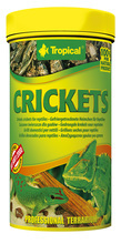 TROPICAL CRICKETS - Suszone świerszcze - pokarm dla gadów oraz dużych ryb ozdobnych