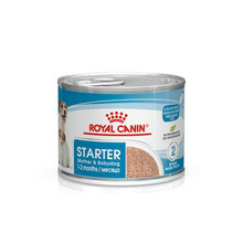 ROYAL CANIN Mini Starter Mousse - mokra karma dla szczeniąt i suk karmiących, 195g