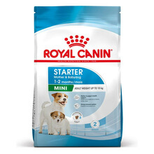 ROYAL CANIN Mini Starter Mother & Babydog - karma dla szczeniąt, suk w ciąży i w czasie laktacji