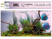 JUWEL- świetlówka Colour-Lite (T8)